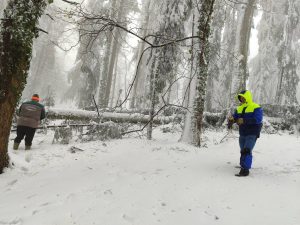 MRAKOVICA ZATVORENA ZA POSJETIOCE: Opasnost od pada stabala i snijega (FOTO)