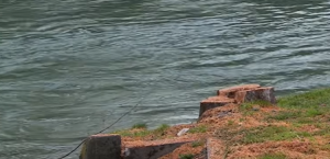 „DEVASTACIJA ZELENILA U BANJALUCI MORA STATI“: Najavljena tužba protiv ekocida na obali Vrbasa