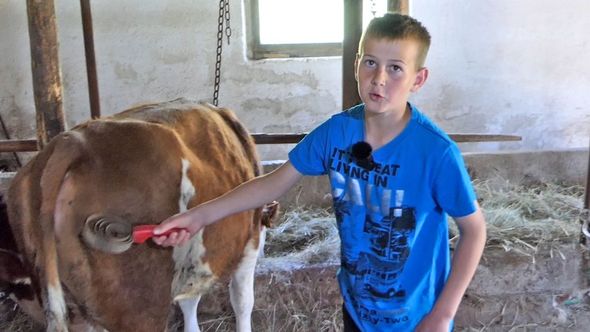 ИНСПИРАТИВНА ПРИЧА: Дјечак (11) умјесто телефона изабрао фарму и стоку (ВИДЕО)
