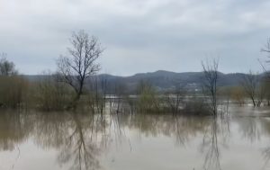KRITIČNO KOD DOBOJA: Vodostaj Bosne u snažnom porastu (FOTO/VIDEO)
