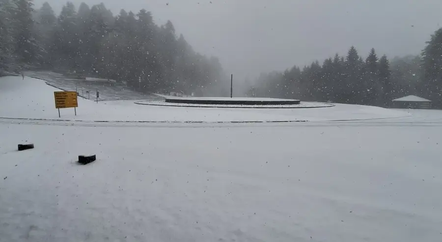TRAGEDIJA: Na Kozari pronađeno tijelo, poznat identitet stradalog