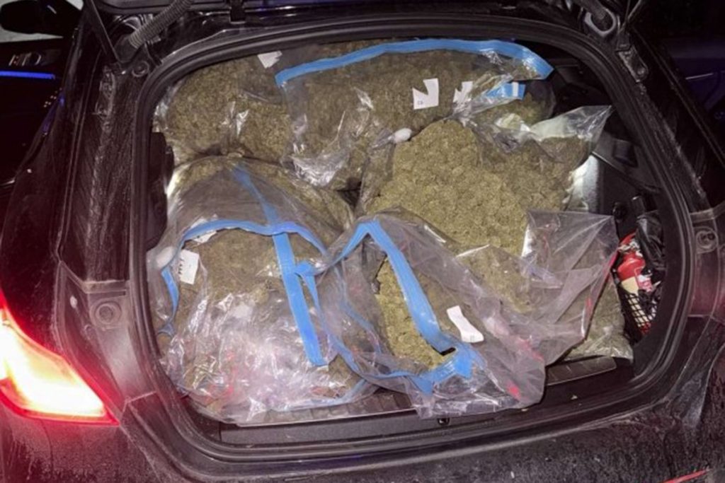 AKCIJA „BRAZIL“ NA PODRUČJU GRADIŠKE: Pronađeno 50 kilograma droge, uhapšeno više osoba