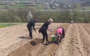 OVO NIKO NIJE OČEKIVAO: Aleksandra Pandurević ostavila politiku i uhvatila se motike (VIDEO)