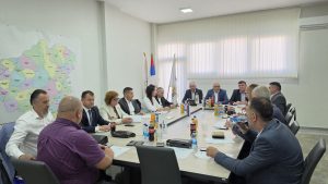 SJEDNICA PREDSJEDNIŠTVA NPS-a U BIJELJINI: Analiza dosadašnjih aktivnosti stranke