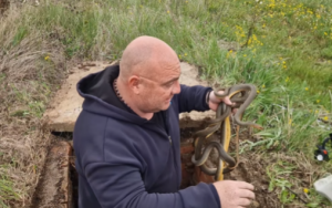 ШОК ПРИЗОР: Најпознатији српски змијоловац пронашао шест змија у шахту