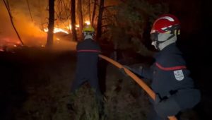 POŽARI PUSTOŠE ŠUME U FRANCUSKOJ: Ugroženo 1.000 ljudi (VIDEO)