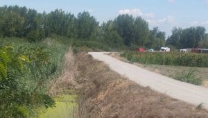 POGINULA DVA MUŠKARCA I ŽENA: Identifikovane žrtve stravične nesreće u Novom Sadu