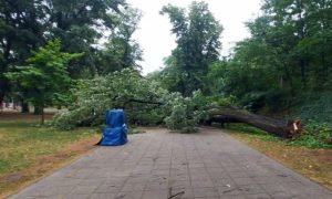 DRVO PALO NA KAFIĆ: Nevrijeme napravilo haos u Banjaluci (VIDEO)