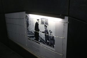 NAUČNO UTEMELJENA ISTINA NASUPROT INSTITUCIONALNOM ZABORAVU: Refleksija o Jasenovcu i Donjoj Gradini kroz prizmu dr Efraima Zurofa