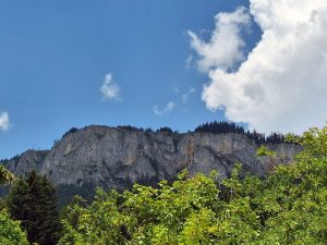 „DANI LJEKOBILJA“ NA ROMANIJI: Ljubitelji prirode se upoznali sa bogatom i raznovrsnom florom planine (FOTO)