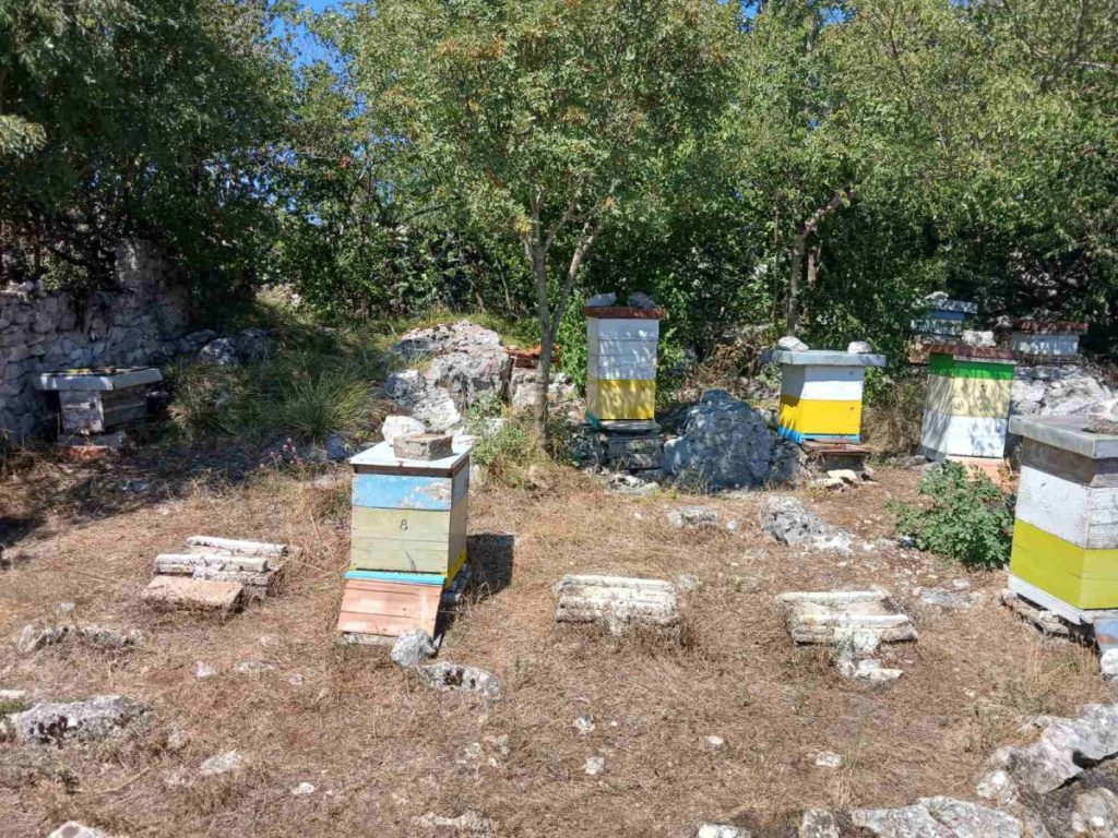 POŽAR KOD TREBINJA: Vatrogasci uspjeli da spasu pčelinjak (FOTO)