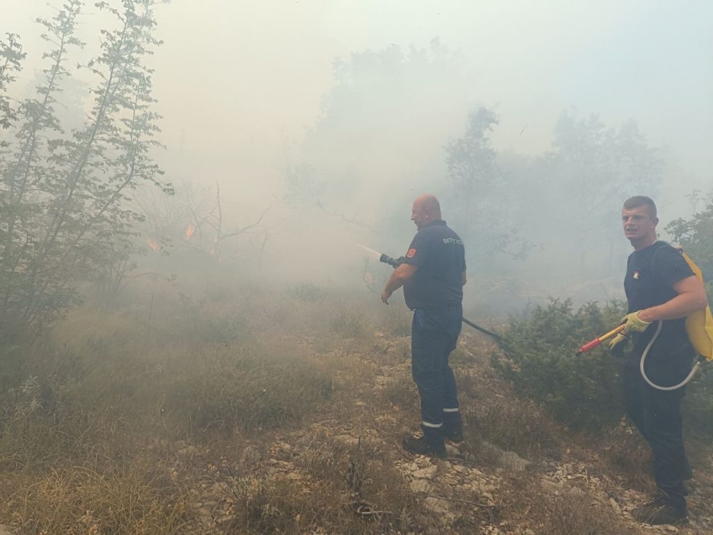 VATRA SE PRIBLIŽILA KUĆAMA I NJIVAMA: Vatrogasci gase požar kod Trebinja (FOTO/VIDEO)