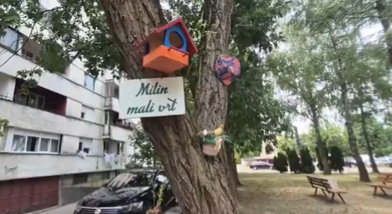 НЕОБИЧНА ПРИЧА ИЗ БАЊАЛУКЕ КОЈА ЧУВА ДУХ СТАРОГ ВРЕМЕНА: Комшије у овој улици заједно пјевају и гаје необичан врт (ВИДЕО)