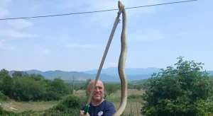 TREBINJSKI HEROJ: Mišo Pamučina ulovio zvijer dužu od dva metra