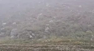 NESTVARNI PRIZORI USRED LJETA: U Crnoj Gori pada snijeg (VIDEO)