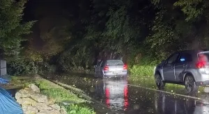 NEVRIJEME NAPRAVILO HAOS U ZVORNIKU: Oluja srušila stablo, kvarovi na mreži