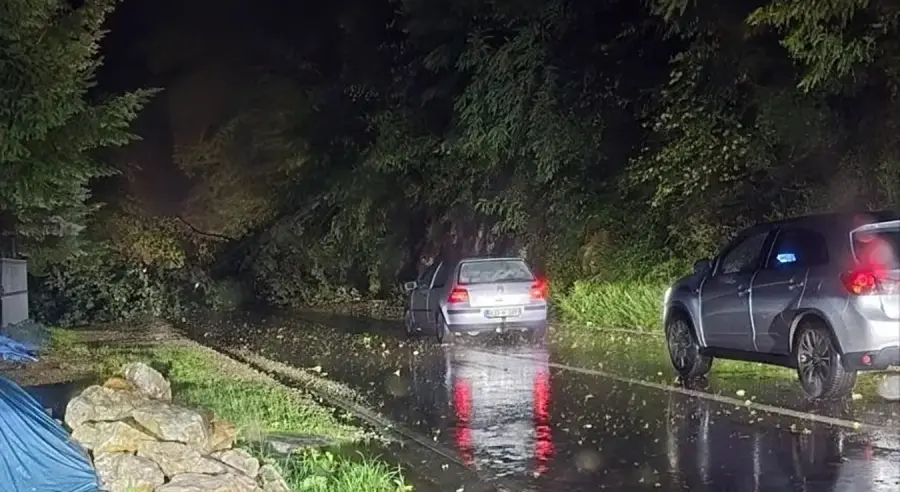 NEVRIJEME NAPRAVILO HAOS U ZVORNIKU: Oluja srušila stablo, kvarovi na mreži