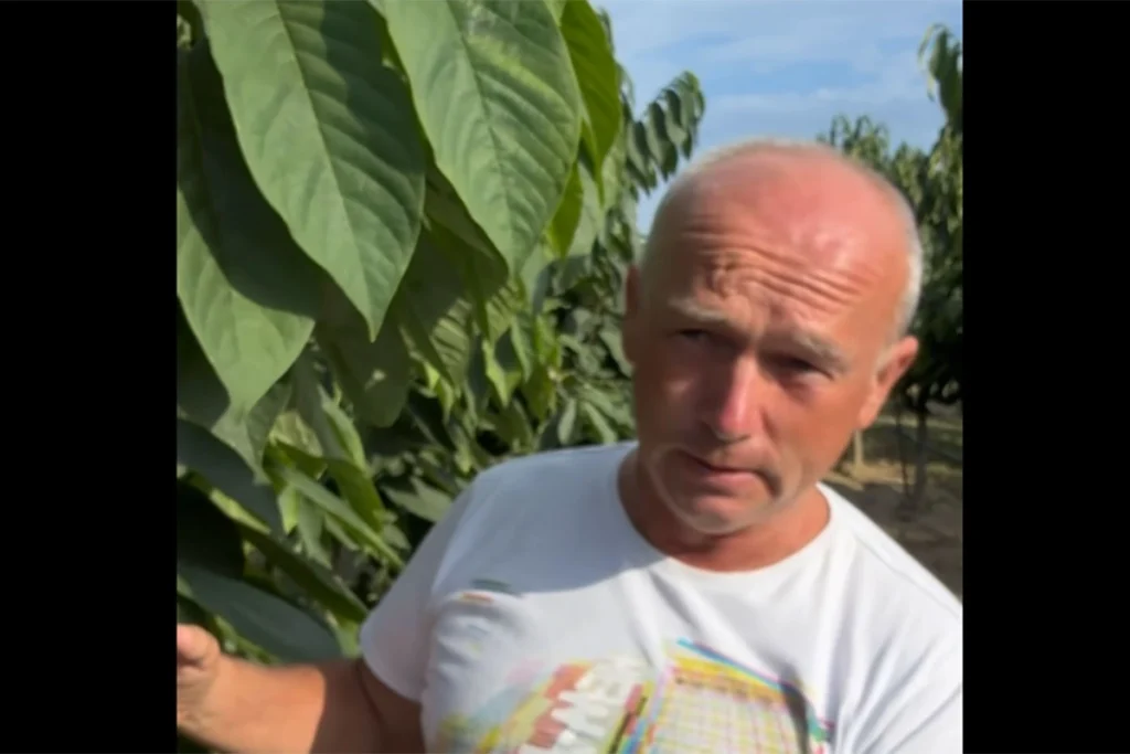 POSADILI TROPSKO VOĆE I ZARADILI BOGATSTVO: Oni koji su im se smijali, danas im zavide (VIDEO)