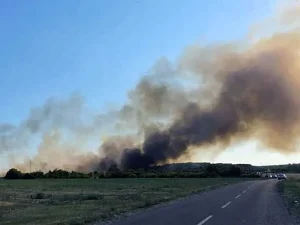 ВАТРА КОД БИЈЕЉИНЕ ПОНОВО ПЛАНУЛА: Јутрос локализовани пожар на  Швапској ади плануо