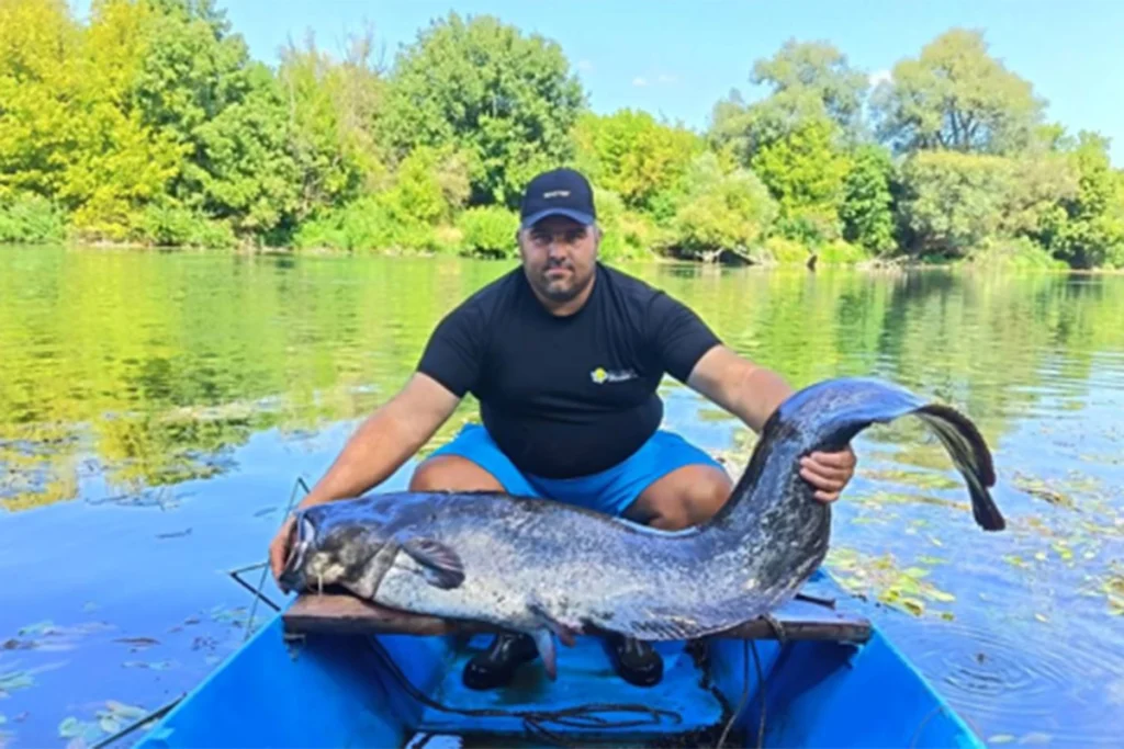 KAPITALAC: Renato u Uni upecao soma od 42 kilograma