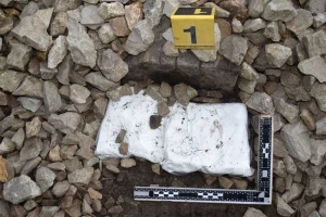 POLICIJA REAGOVALA NAKON DOJAVE GRAĐANA: Pored pruge u BiH pronađena dva kilograma droge