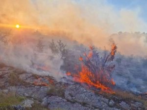 ПОЖАР КОД ГАЦКА: Све расположиве јединице на терену (ФОТО)