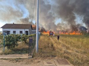APOKALIPTIČNE SCENE U ALEKSANDROVCU: Izbio veliki požar, vatra nadomak kuća (VIDEO)