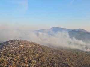 I DALJE GORI KOD TREBINJA: Vatru gasi i helikopter