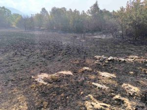 NAKON VIŠEDNEVNE BORBE SA VATRENOM STIHIJOM: Ugašen požar u Zupcima (FOTO)
