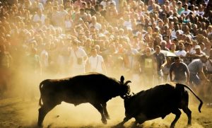 ЦЈЕНОВНИК СА МАЊАЧЕ: Шта и колико кошта на Кочићевом збору ове године