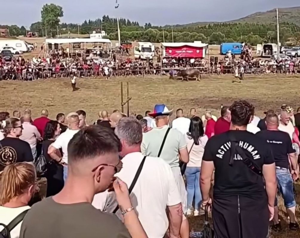 CIJENE NA KOČIĆEVOM ZBORU PAPRENE: Kilogram jagnjetine i do 70 KM (VIDEO)
