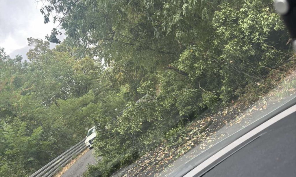 BANJALUKU POGODILO NEVRIJEME: Drvo blokiralo put, semafori ne rade (FOTO/VIDEO)