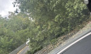 BANJALUKU POGODILO NEVRIJEME: Drvo blokiralo put, semafori ne rade (FOTO/VIDEO)