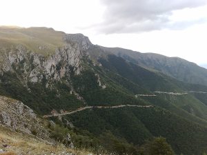 ПРОПАДАЈУ СТАБЛА: Влашић пред изазовом (ФОТО)