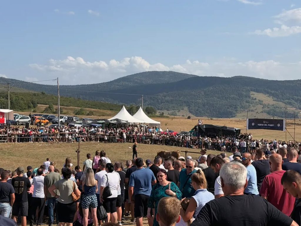 VELIKI SPEKTAKL NA MANJAČI: Bodljavina bikova privukla brojne posjetioce (FOTO)