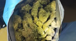 AKCIJA „AMIKUS“: Pala dva Banjalučanina, oduzeta marihuana, hašiš i kokain