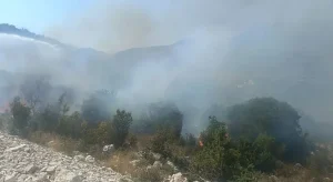 GORI NISKO RASTINJE: Novi požar kod Trebinja