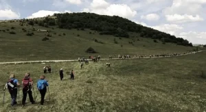 ДРАМА НА МАЊАЧИ: Мушкарац наводно пуцао на планинаре