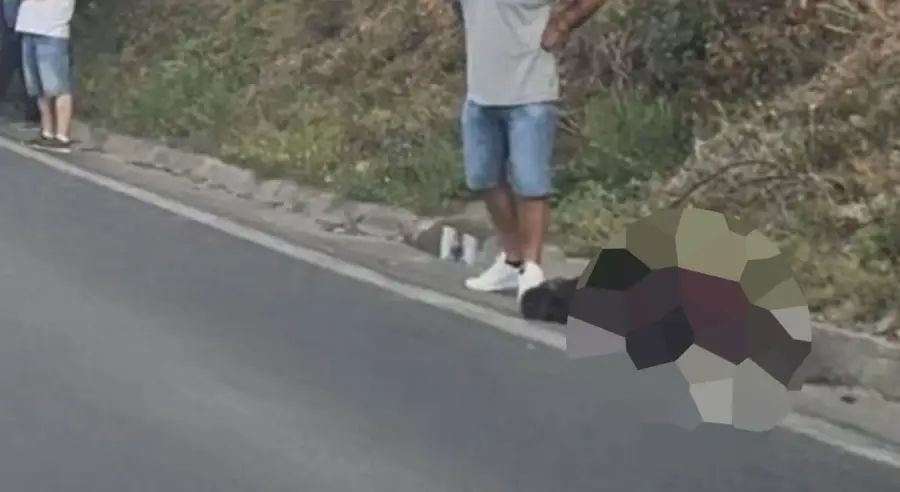 AUTOBUS USMRTIO MEDVJEDA: Vozačima se savjetuje maksimalan oprez tokom vožnje dionicom kroz Lašvansku dolinu