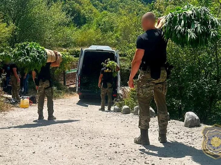 VELIKA AKCIJA FUP-a KOD MOSTARA: Otkriveno čak 12 plantaža indijske konoplje