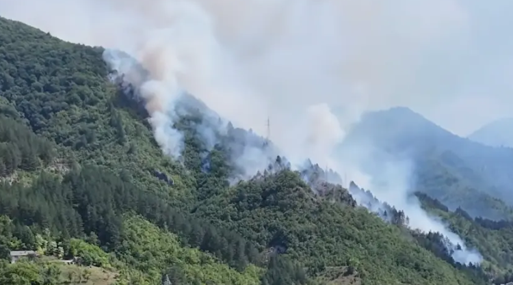 VATRA PRIJETILA KUĆAMA: Požar kod Konjica lokalizovan, dijelovi požarišta i dalje aktivni (VIDEO)
