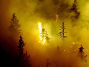 VATRA GUTA TREBEVIĆ: Gašenje otežava nepristupačan teren (FOTO)