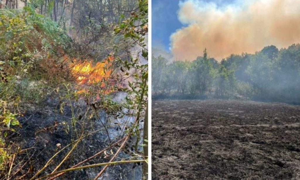 ŠUMSKI POŽAR U ZVORNIKU: Vatra se spušta prema kućama, vatrogasci na mukama