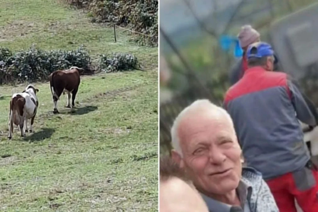 IZDAHNUO PRED KUĆOM: Agresivni bik usmrtio poljoprivrednika u selu kod Srebrenika