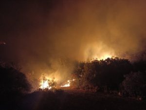 VATRA SE PONOVO RAZBUKTALA I PRIBLIŽILA MANASTIRU VOZUĆICA: Vatrogasci je zaustavili