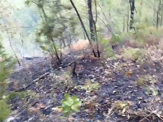 VATRPGASCI CIJELU NOĆ GASILI POŽAR U VRBANJI: Situacija bolja jutros