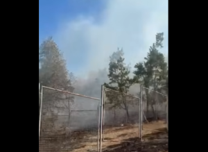 POŽAR U BANJALUČKOM NASELJU: Na terenu vatrogasci sa više vozila (VIDEO)