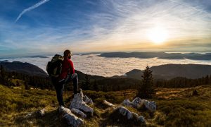 SRPSKA DOBILA PARK PRIRODE: Pogledajte gdje se nalazi