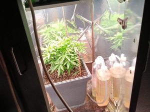 AKCIJA „TRENER“ U BANJALUCI: Policija zaplijenila četiri kilograma droge i otkrila laboratoriju (FOTO)