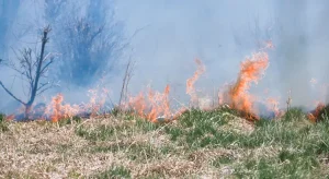 ALARMANTNO STANJE: Požar kod Kupresa širi se prema Tomislavgradu i Rami